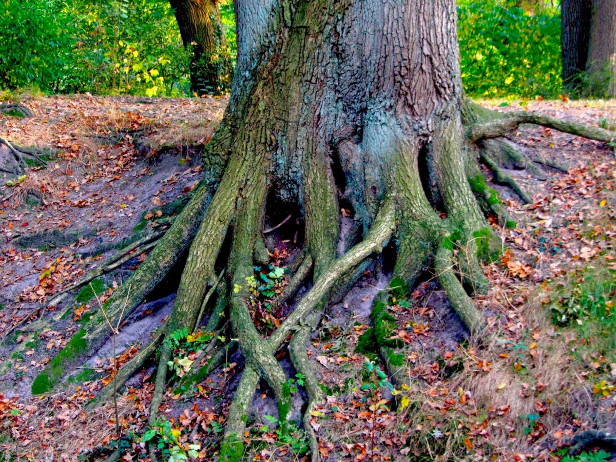 Look Below the&nbsp;Surface