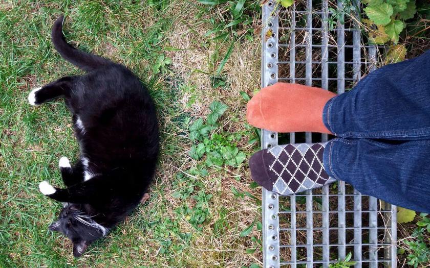 14625590_10210532449093212_1019943841_o