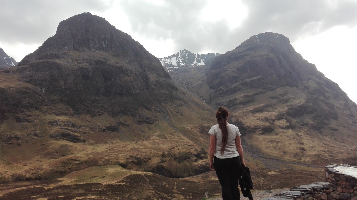 The Grass on this Side of the&nbsp;Fence